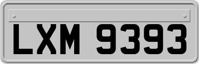 LXM9393