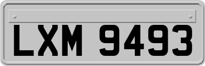 LXM9493