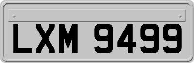 LXM9499
