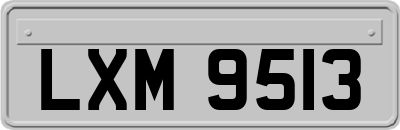 LXM9513