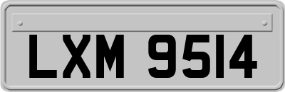 LXM9514