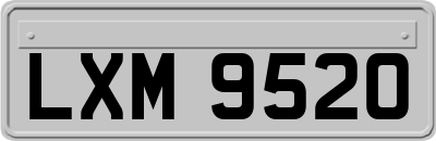 LXM9520