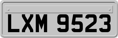 LXM9523