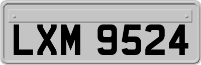 LXM9524