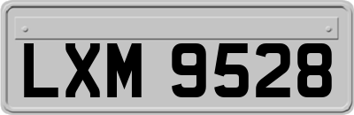 LXM9528