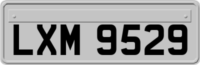 LXM9529