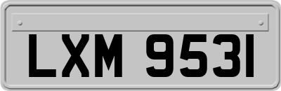 LXM9531