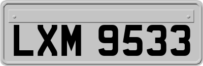 LXM9533