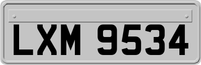 LXM9534