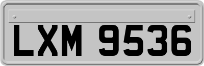 LXM9536