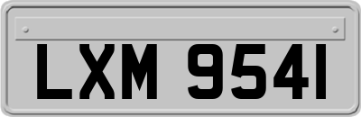 LXM9541