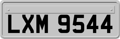 LXM9544