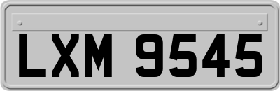 LXM9545