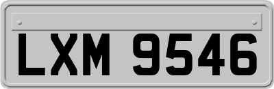 LXM9546