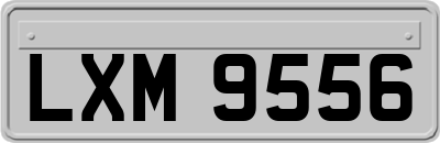 LXM9556
