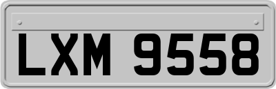 LXM9558
