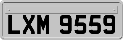 LXM9559