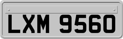 LXM9560