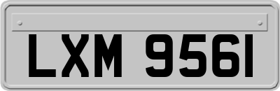 LXM9561