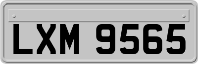 LXM9565