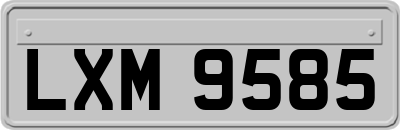 LXM9585
