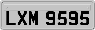 LXM9595