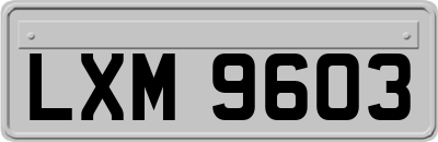 LXM9603