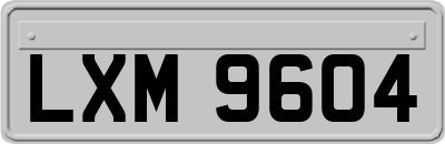 LXM9604