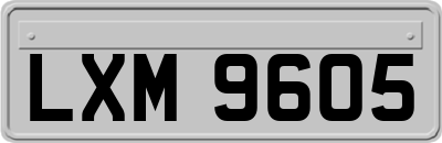 LXM9605