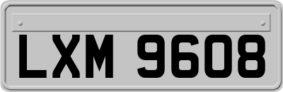 LXM9608