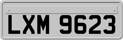 LXM9623