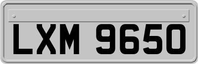 LXM9650