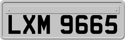 LXM9665