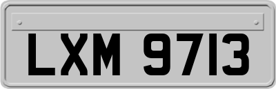LXM9713