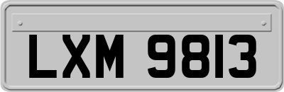 LXM9813