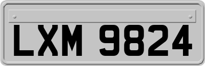 LXM9824