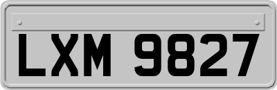 LXM9827