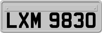 LXM9830