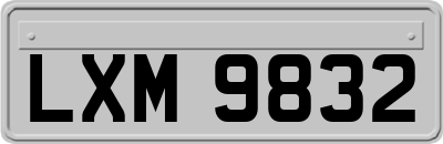 LXM9832