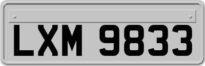 LXM9833