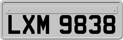 LXM9838