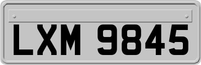 LXM9845