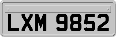 LXM9852