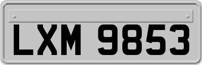 LXM9853