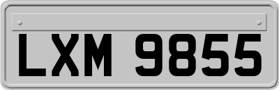 LXM9855