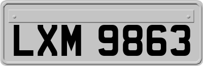 LXM9863