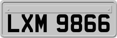 LXM9866