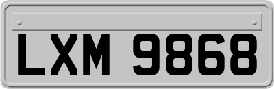 LXM9868