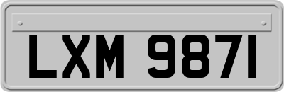LXM9871