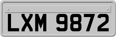 LXM9872